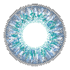 Aquacolour emerald contact lens